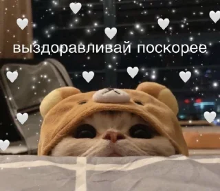 🤍
