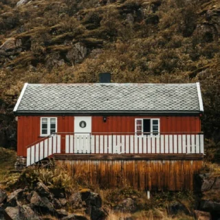 🏘️