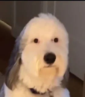 😐
