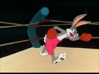 🥊