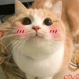 ☺️