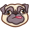 Pug Power