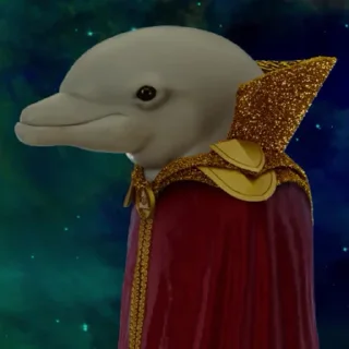 🐬