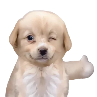👍