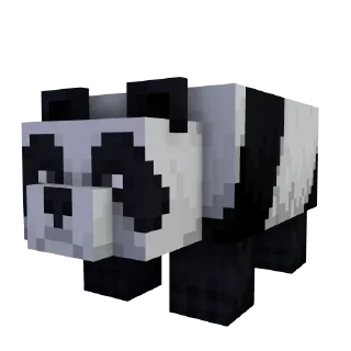 🐼