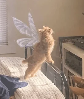 🤗