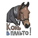 🐴