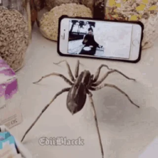 🕺