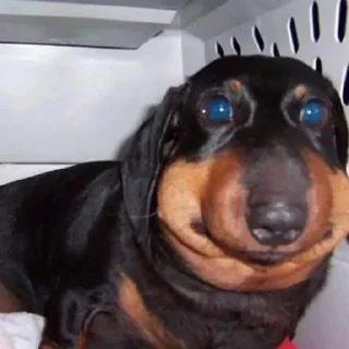🙂