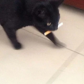 🚬