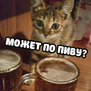 🍺