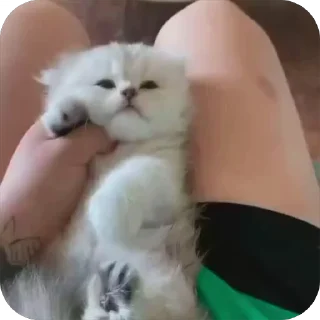 ❤️