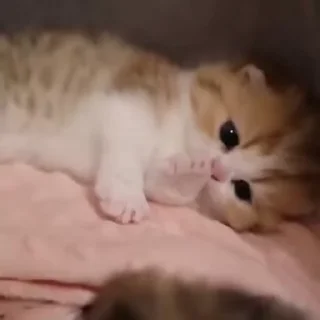 😛