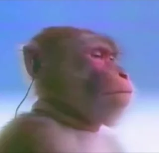🎧