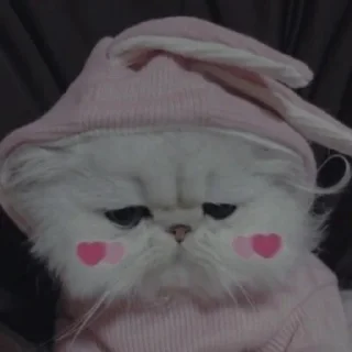 💗