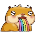 🌈