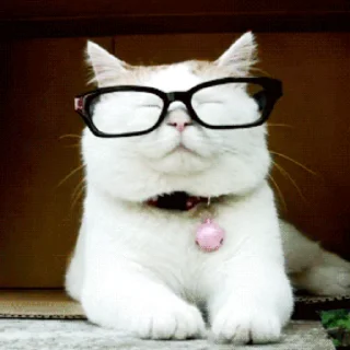 👓