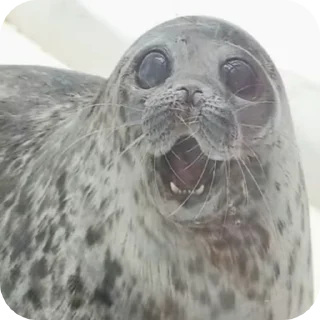 😨