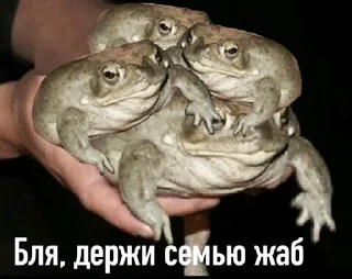 😎