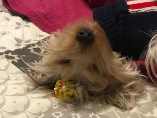 😴