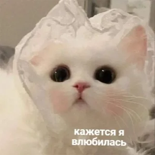 😍