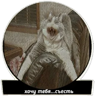 😋