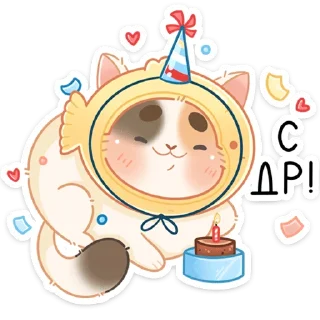 🍰