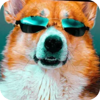 🖼