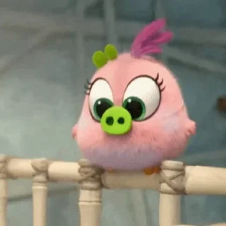 🐽