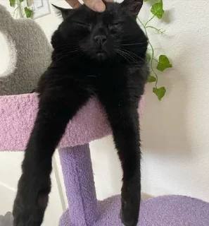 😊