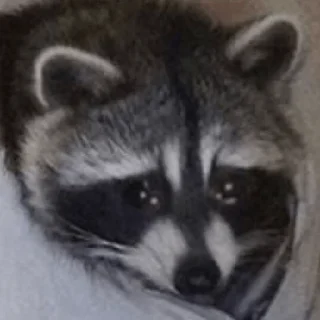 🫥
