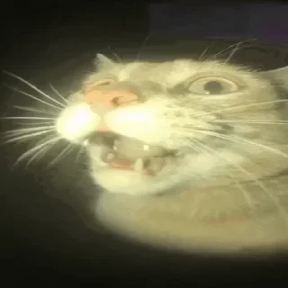 🤯