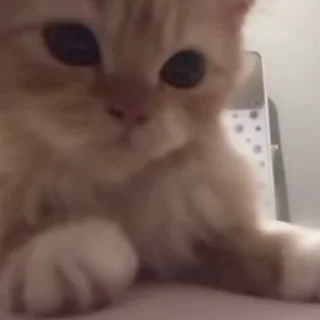 🙂