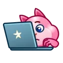 💻