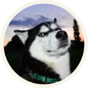 😎