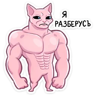 😎