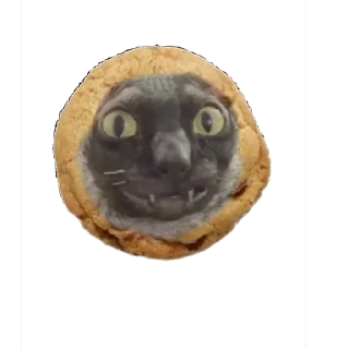 🍪