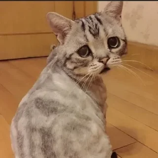 🙁