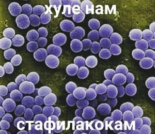 🧂