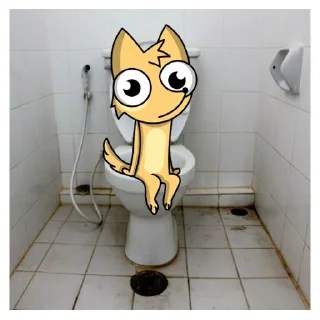 💩