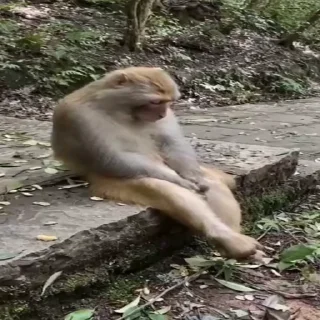 😞