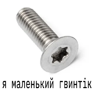 🔩