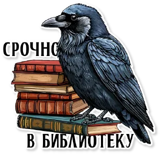 📚