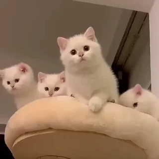 🤗