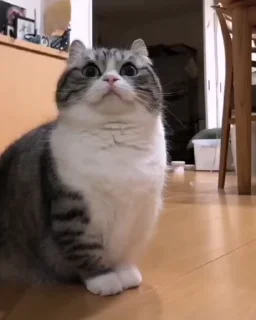 😀