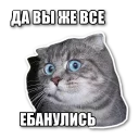 котэпак