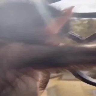 😵‍💫