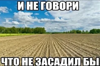 🧂