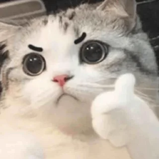 👍