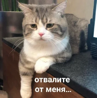 😕